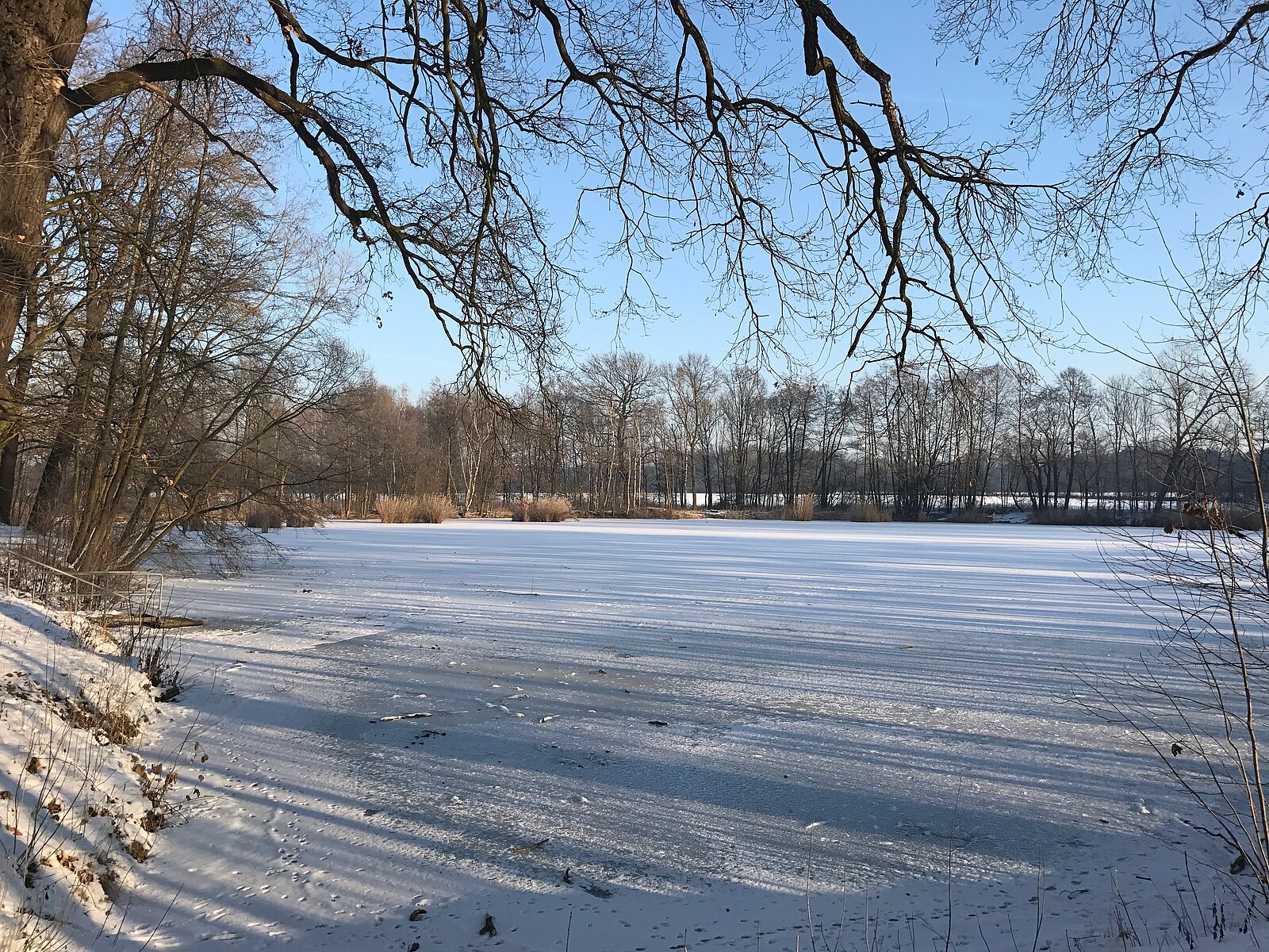 Angelverein Großbothen e.V. Unsere Gewässer